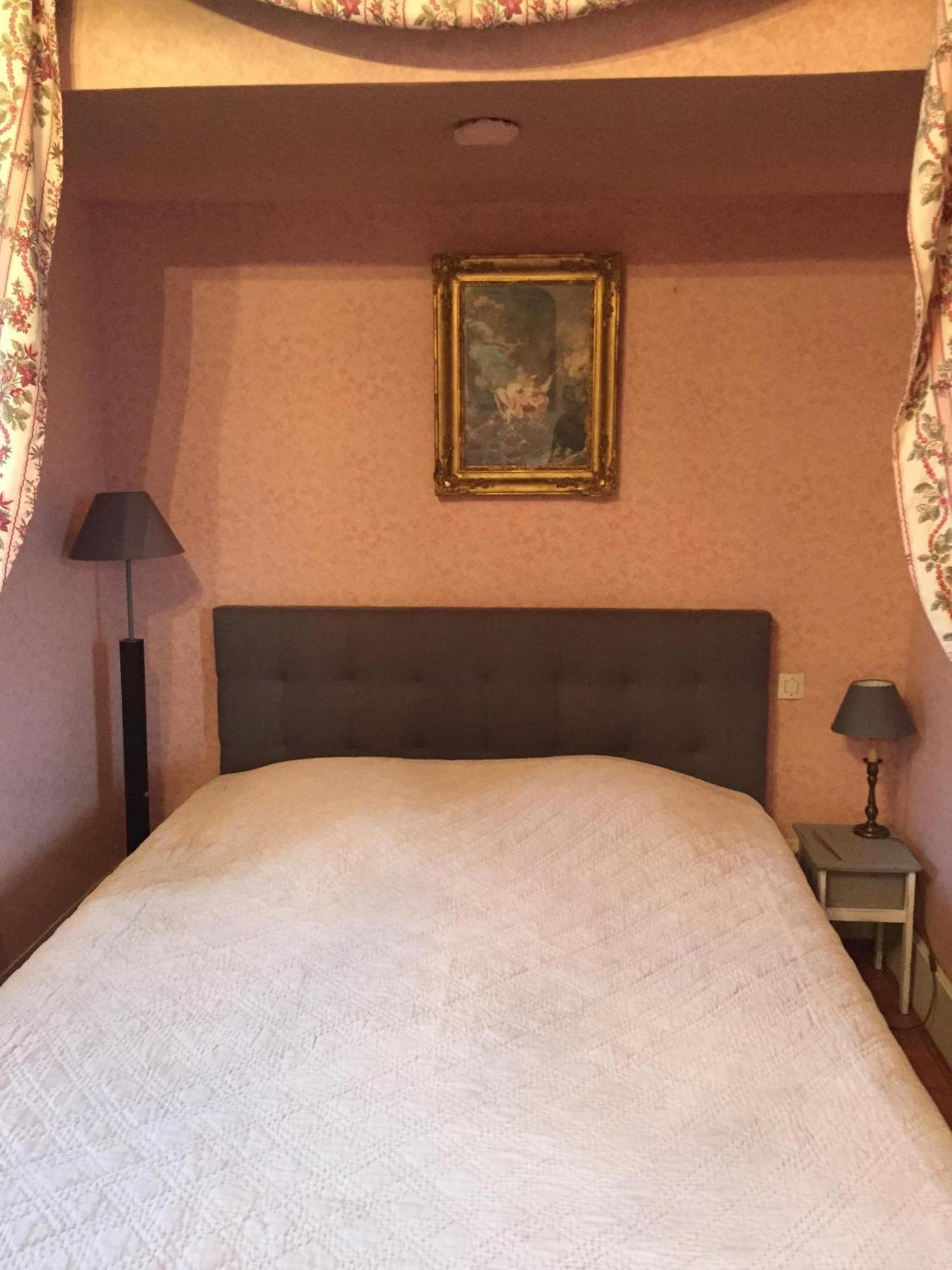 Chateau De Pintray Lussault-sur-Loire Δωμάτιο φωτογραφία